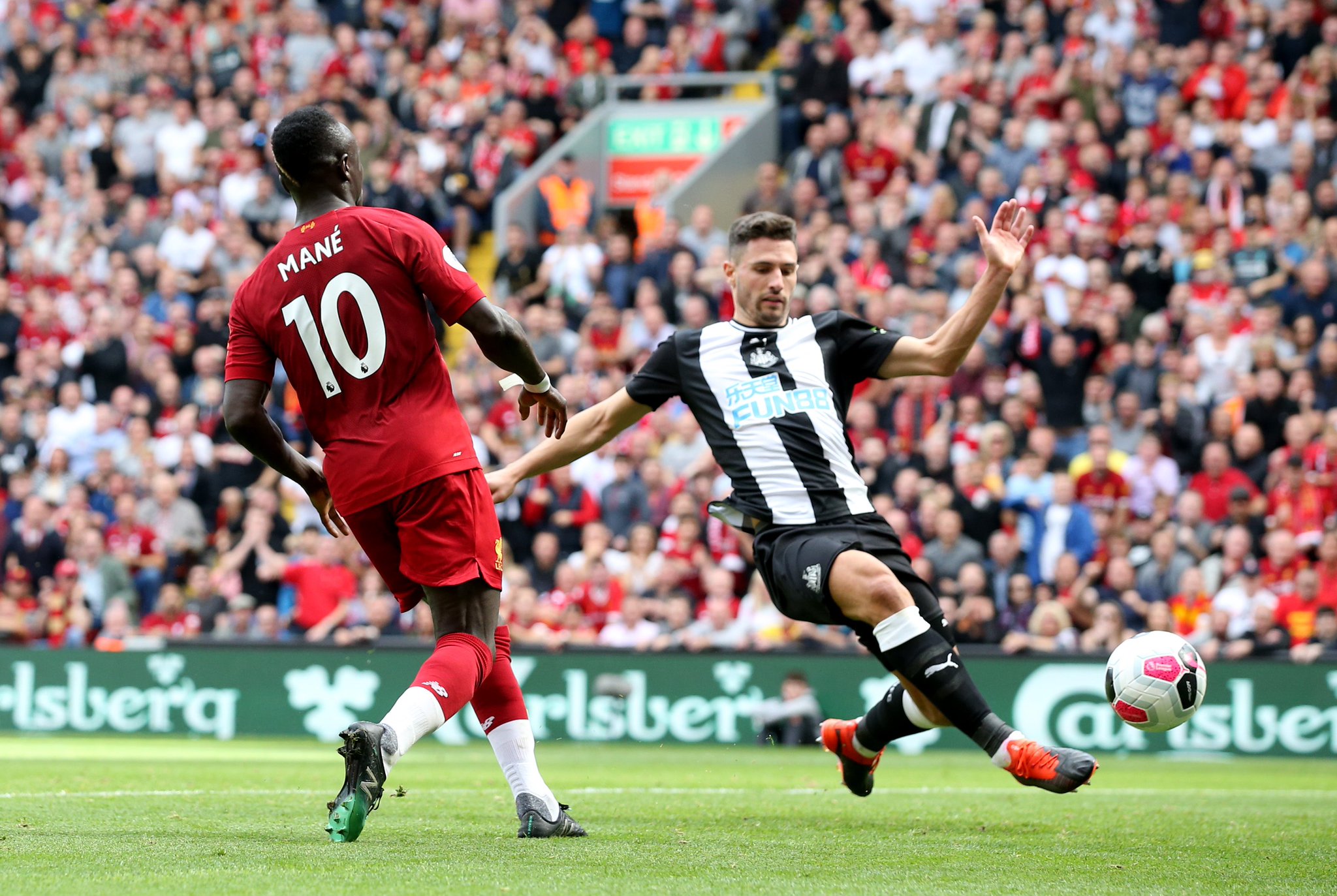 品牌的宠儿 品牌的宠儿